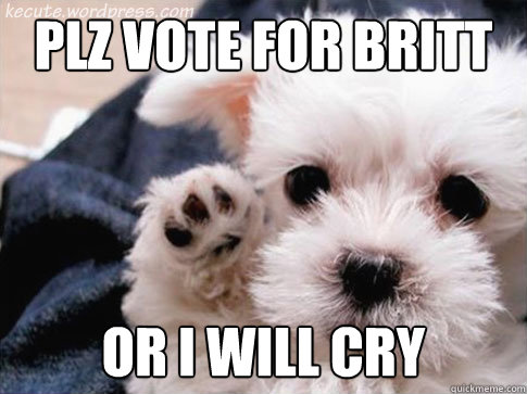 Plz vote for britt Or I will cry - Plz vote for britt Or I will cry  Voting dog