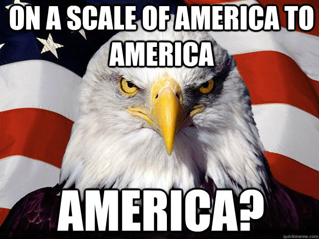 on a scale of america to america america? - on a scale of america to america america?  Patriotic Eagle