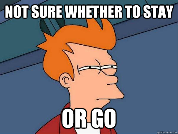 NOT SURE WHETHER TO STAY OR GO  Futurama Fry
