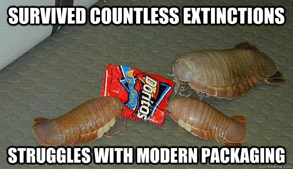 survived countless extinctions struggles with modern packaging  Giant Isopod