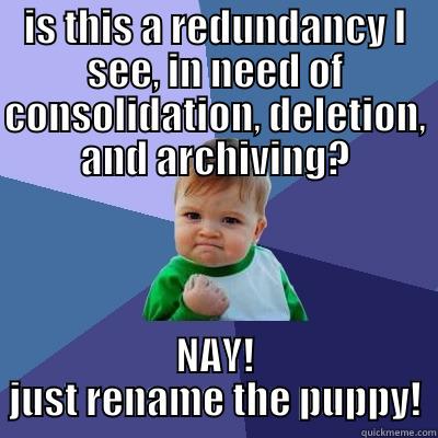 IS THIS A REDUNDANCY I SEE, IN NEED OF CONSOLIDATION, DELETION, AND ARCHIVING? NAY! JUST RENAME THE PUPPY! Success Kid