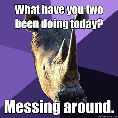 What have you two been doing today? Messing around.  Sexually Oblivious Rhino