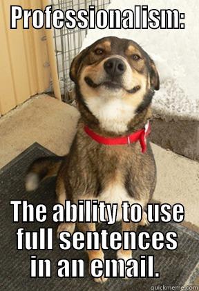 PROFESSIONALISM: THE ABILITY TO USE FULL SENTENCES IN AN EMAIL.  Good Dog Greg