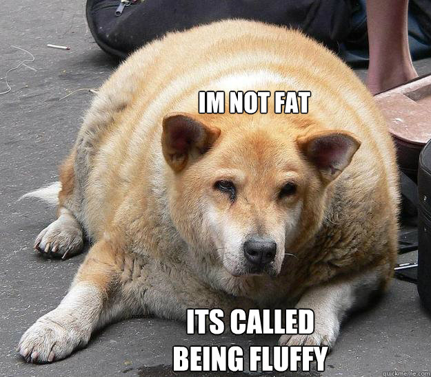 IM NOT FAT ITS CALLED BEING fluffy  Fat dog