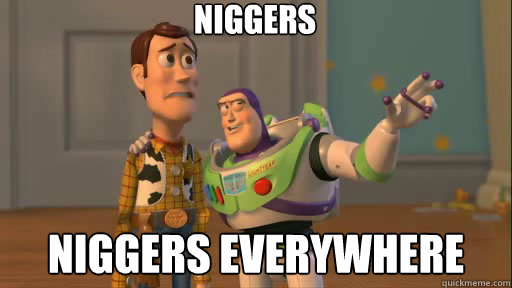 niggers niggers everywhere  Everywhere