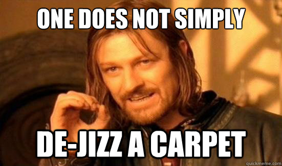 One Does Not Simply De-jizz a carpet  Boromir