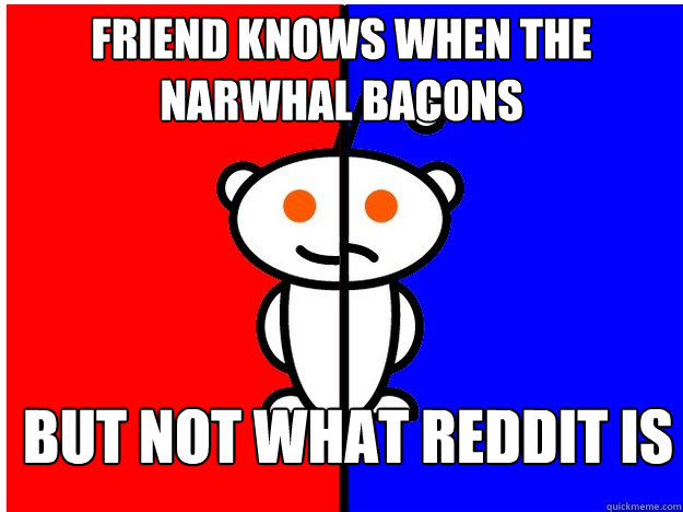Friend knows when the narwhal bacons but not what reddit is  