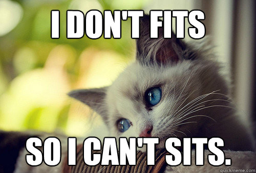 I don't fits so I can't sits. - I don't fits so I can't sits.  First World Cat Problems