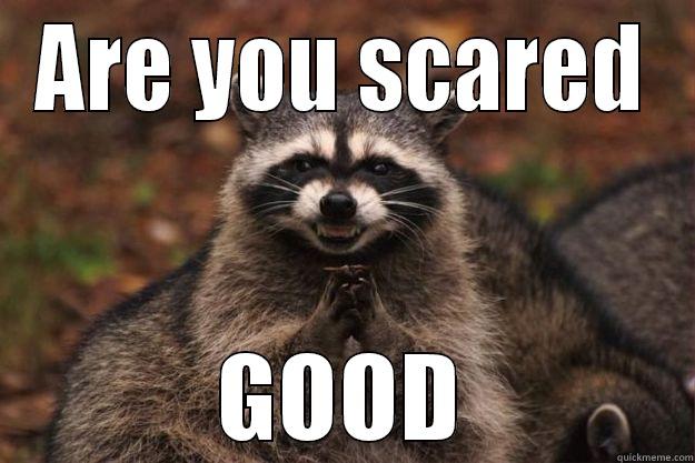 are you scared good - ARE YOU SCARED GOOD Evil Plotting Raccoon
