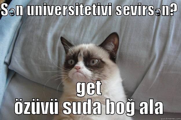 vroom  - SƏN UNIVERSITETIVI SEVIRSƏN?  GET ÖZÜVÜ SUDA BOĞ ALA Grumpy Cat