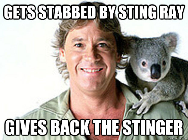 Gets stabbed by sting ray Gives back the stinger  Good Guy Steve Irwin