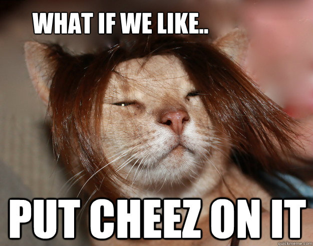 What if we like.. Put cheez on it  Stoner Cat