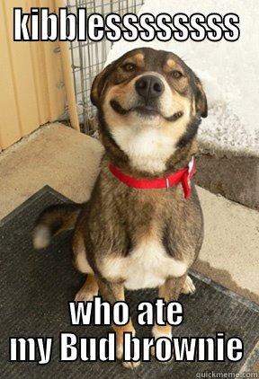 KIBBLESSSSSSSS WHO ATE MY BUD BROWNIE Good Dog Greg