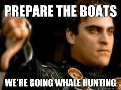 Prepare the boats we're going whale hunting - Prepare the boats we're going whale hunting  Downvoting Roman