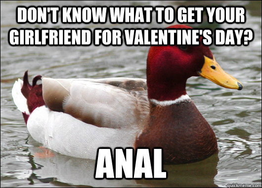 Don't know what to get your girlfriend for Valentine's day? Anal  Malicious Advice Mallard