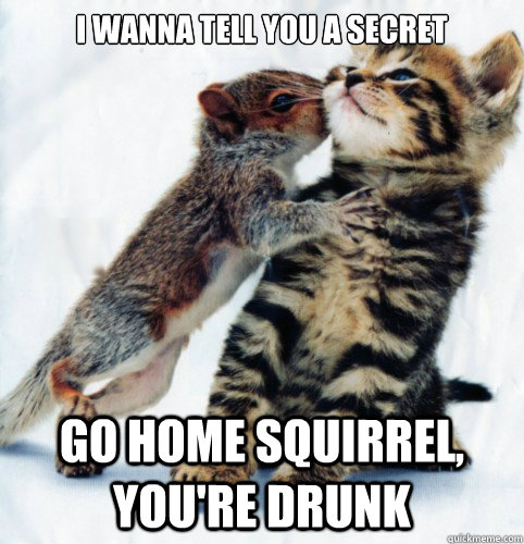 I wanna tell you a secret Go home squirrel, you're drunk  Drunk Squirrel