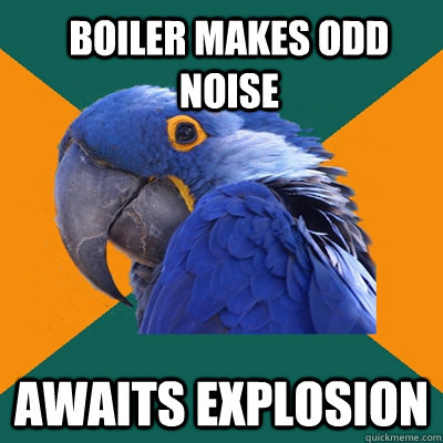 boiler makes odd noise awaits explosion - boiler makes odd noise awaits explosion  ParanoidParrot