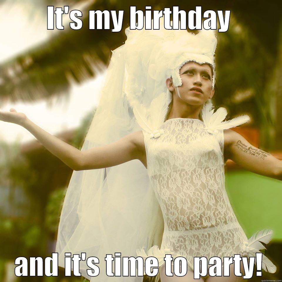 IT'S MY BIRTHDAY AND IT'S TIME TO PARTY! Misc