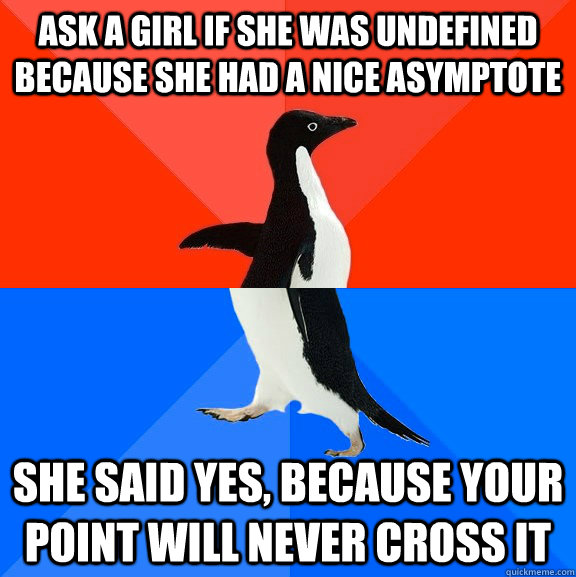 Ask a girl if she was undefined because she had a nice asymptote She said yes, because your point will never cross it  Socially Awesome Awkward Penguin