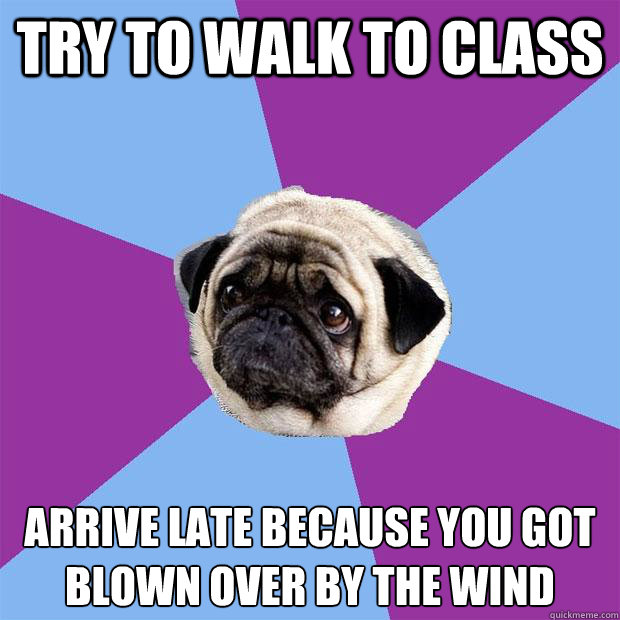 Try to walk to class arrive late because you got blown over by the wind  Lonely Pug
