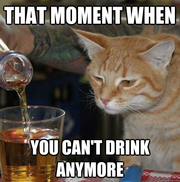 that moment when you can't drink anymore  Drunk Cat