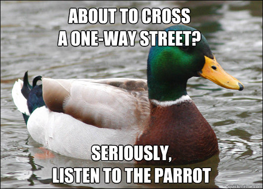About to cross 
a one-way street? seriously,
Listen to the parrot  Actual Advice Mallard