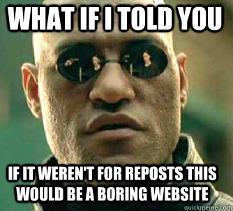 what if i told you if it weren't for reposts this would be a boring website  Matrix Morpheus