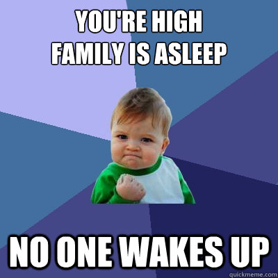 You're high
Family is asleep No one wakes up  Success Kid