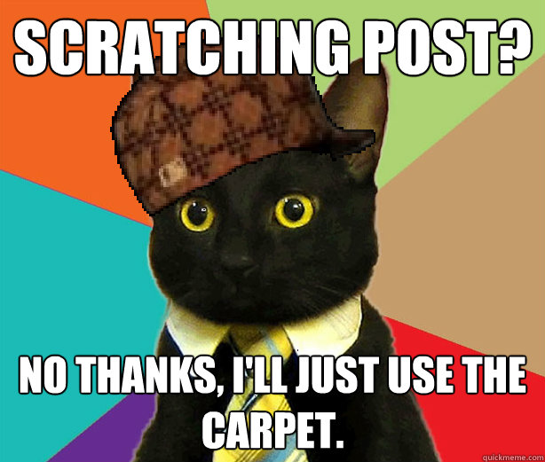 scratching post? No thanks, I'll just use the carpet.  Scumbag Cat