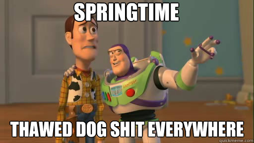 Springtime thawed dog shit everywhere  Everywhere