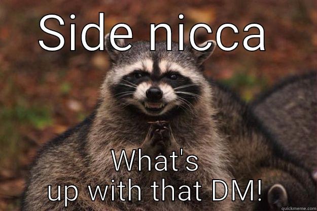 SIDE NICCA WHAT'S UP WITH THAT DM! Evil Plotting Raccoon
