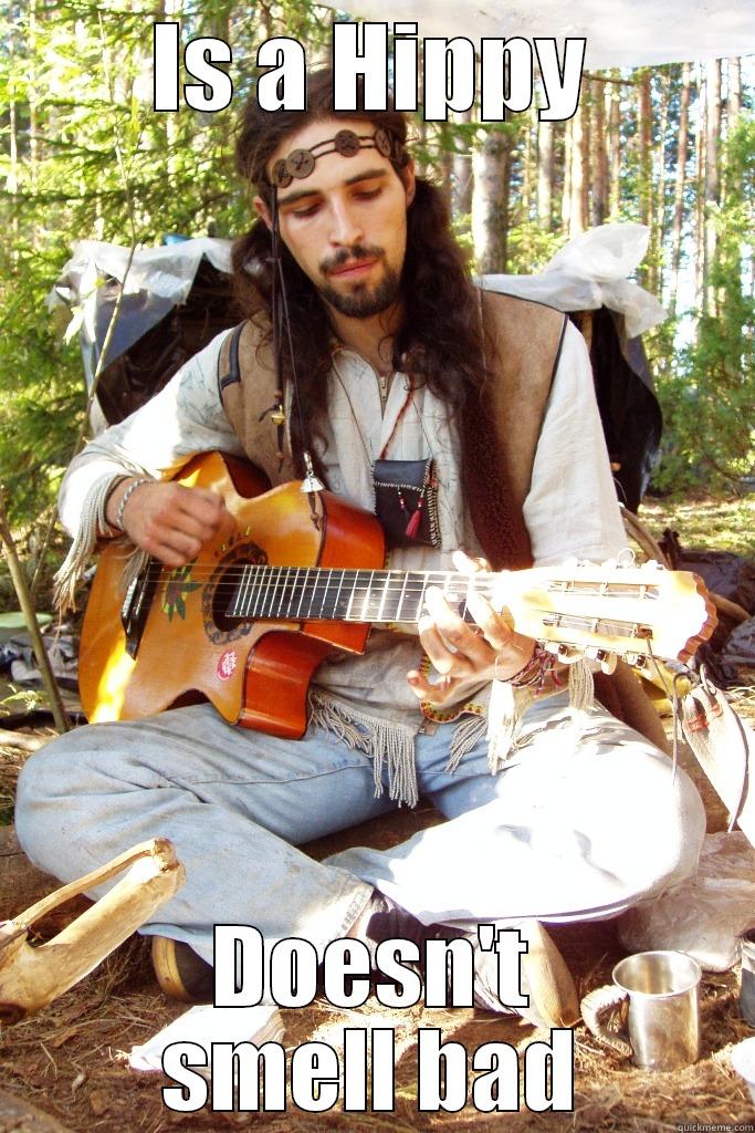 Good Guy Hippy - IS A HIPPY DOESN'T SMELL BAD Misc