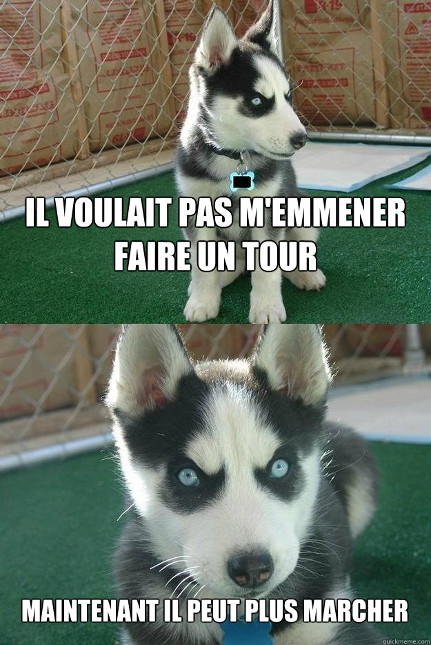 Il voulait pas m'emmener faire un tour maintenant il peut plus marcher  Insanity puppy