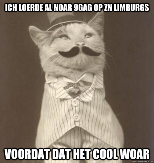 Ich loerde al noar 9gag Op Zn Limburgs Voordat dat het cool woar  Original Business Cat