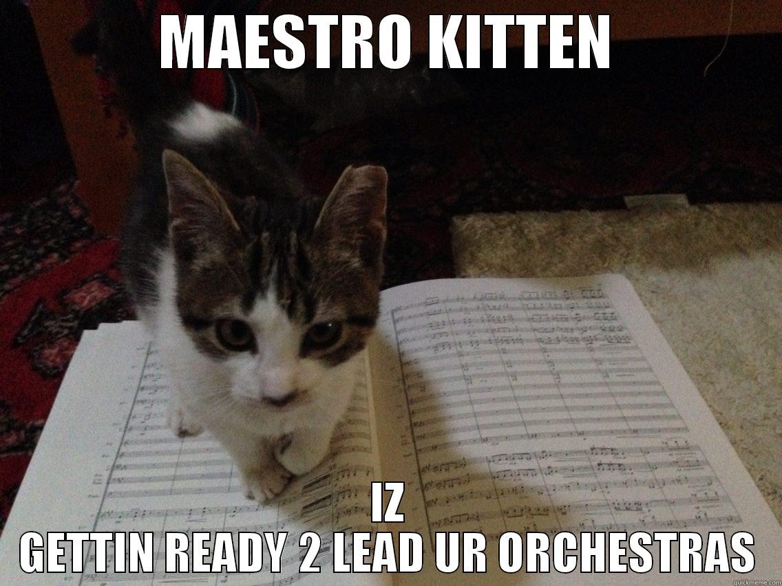 Conductor Kitten - MAESTRO KITTEN IZ GETTIN READY 2 LEAD UR ORCHESTRAS Misc