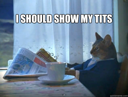 I should show my tits  - I should show my tits   The One Percent Cat