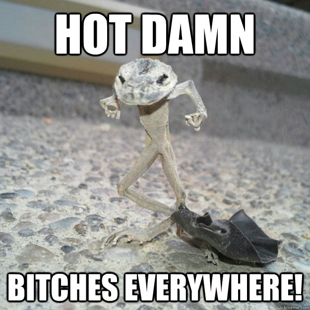 Hot Damn Bitches Everywhere!  