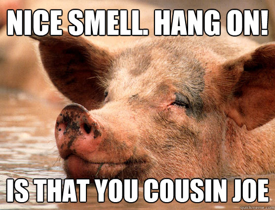 Nice Smell. Hang On! Is that you cousin joe  Stoner Pig