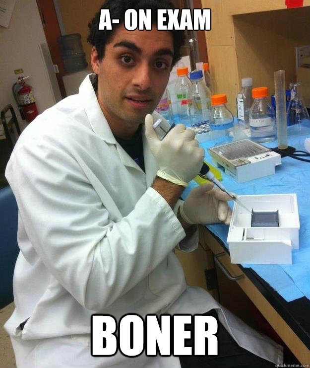 A- on exam Boner  