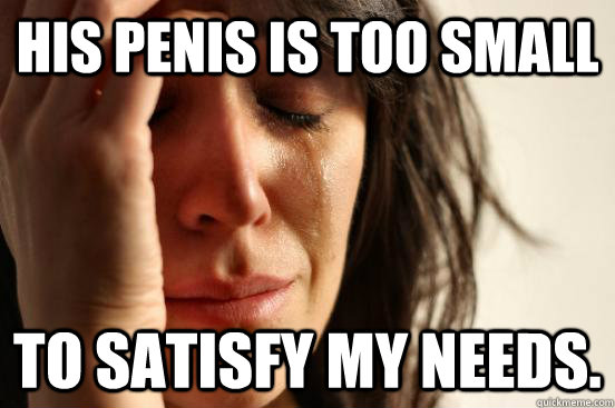 His penis is too small to satisfy my needs.  First World Problems