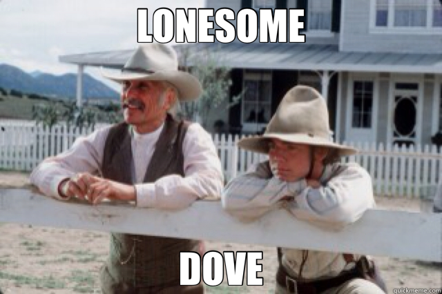 LONESOME DOVE  lonesome