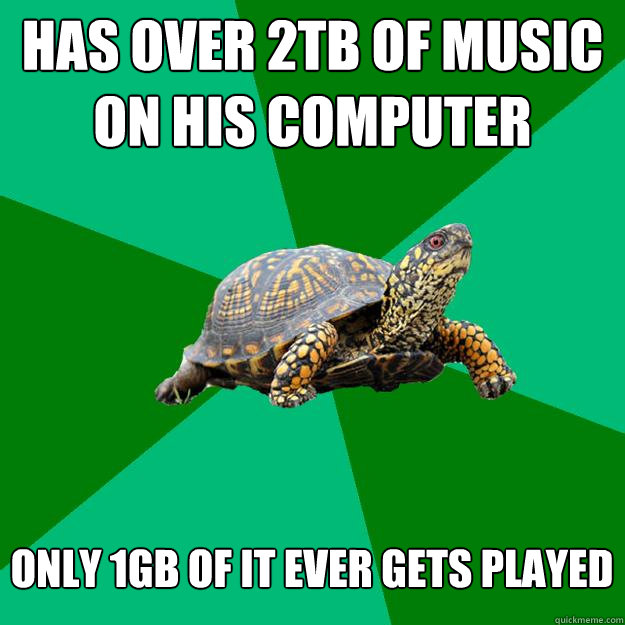 has over 2tb of music on his computer only 1gb of it ever gets played  Torrenting Turtle