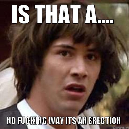 IS THAT A.... NO FUCKING WAY ITS AN ERECTION conspiracy keanu