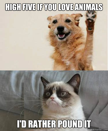 High five if you love animals I'd rather pound it  High Five Dog Grumpy Cat