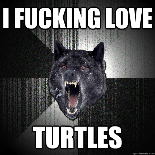 I fucking love turtles  Insanity Wolf