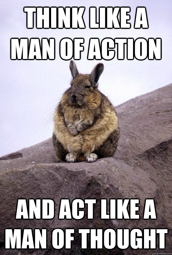 Think like a man of action and act like a man of thought - Think like a man of action and act like a man of thought  Wise Wondering Viscacha