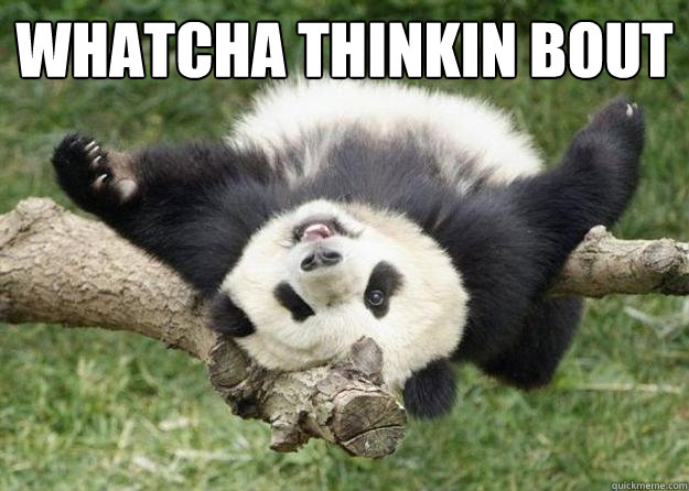WHATCHA THINKIN BOUT - WHATCHA THINKIN BOUT  Pandameme