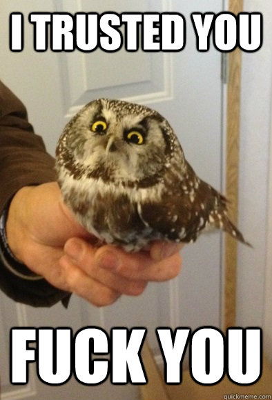 i trusted you fuck you  Scowl Owl