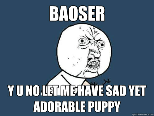 BAOSER y u no LET ME HAVE SAD YET ADORABLE PUPPY  Y U No