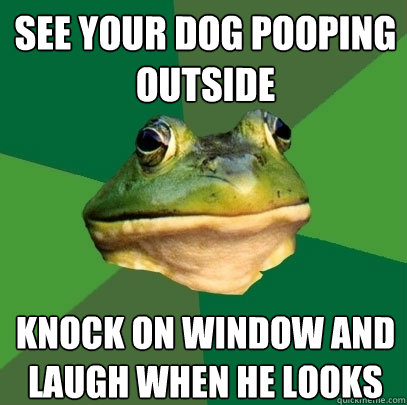 see your dog pooping outside knock on window and laugh when he looks  Foul Bachelor Frog